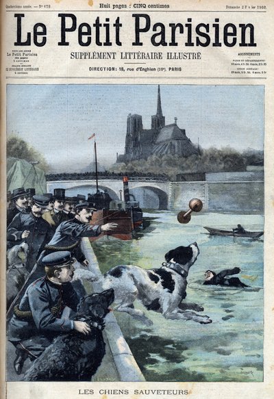 警察在巴黎塞纳河上训练救援犬。在 "Le petit Parisien "上的雕刻。 作者 法语学校