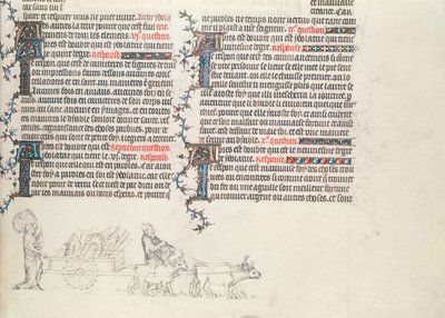 将货物运送到牛拉车中，未完成的缩影来自Jean de Sy的圣经，c.1355 作者 French School