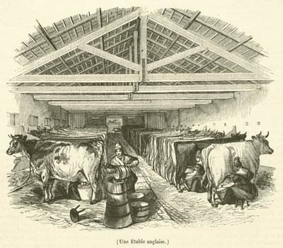英国马厩（雕刻） 作者 法语学校
