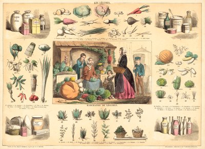 Vegetables (coloured engraving) 作者 法语学校