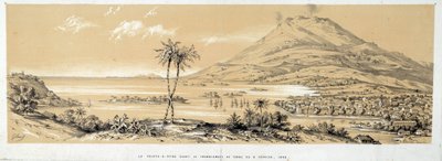 地震前的 Pointe a Pitre (Pointe-a-Pitre) 视图。 1843 年雕刻。沙特尔，美术博物馆 作者 法语学校