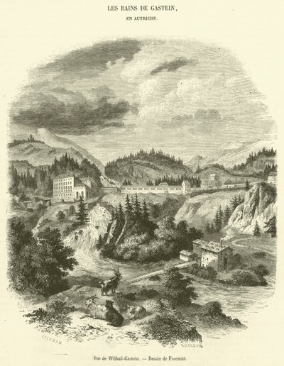 威尔巴德-加斯坦 (Wilbad-Gastein) 的视图（版画） 作者 法语学校