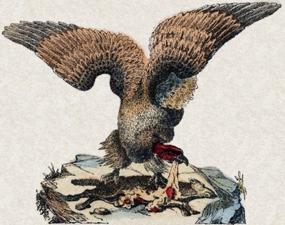 Vulture. Engraving in “” Alphabet des animaux sauvages””. 9th Serie. Imagery of Epinal, Pellerin, printer-publisher, circa 1870. Engravings on wood, stencilled. 16 pages. Dim: 20 x 15 cm. Private Collection 作者 法语学校