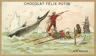 Whaling (chromolitho) 作者 法语学校