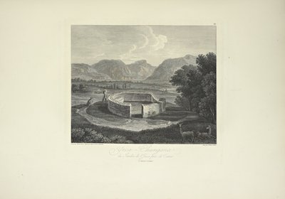 Ynca-Chungana，来自Canar附近的印加花园，由Gmelin绘制，Morel雕刻，插图来自Alexander von Humboldt和Aime Bonpland的《Vues des Cordillères et Monumens des Peuples Indigènes de l