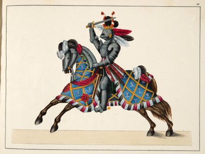 参加锦标赛的骑士，由Franz Kottenkamp博士撰写的“发展历史与侠义风俗”，由Carl Hoffmann出版，1842年 作者 弗里德里希·马丁·冯·赖比施