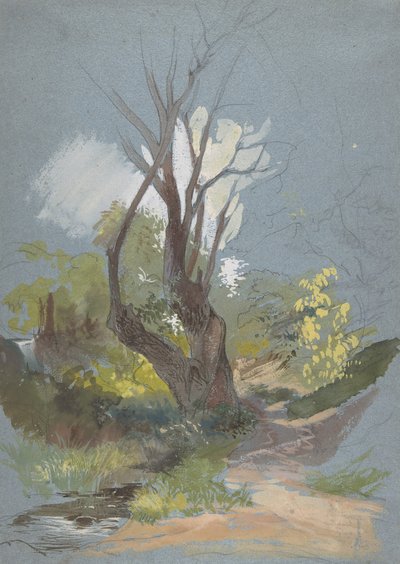 有树的山路，1820-78。 作者 弗雷德里克·纳利
