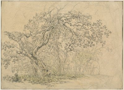 树丛[背面] 作者 弗里德里希·萨拉特（FriedrichSalathé）