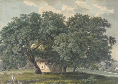 意大利风景与树木的直页，1815-21。 作者 弗里德里希·萨拉特（FriedrichSalathé）