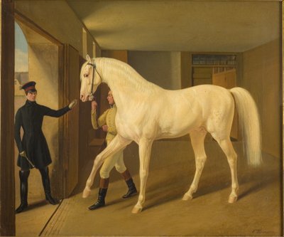 その他 作者 Fritz Thomsen