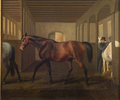 罗塞塔 作者 Fritz Thomsen