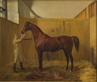 鲁比尼 作者 Fritz Thomsen