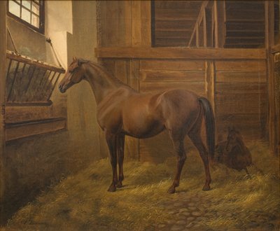 萨宾娜 作者 Fritz Thomsen