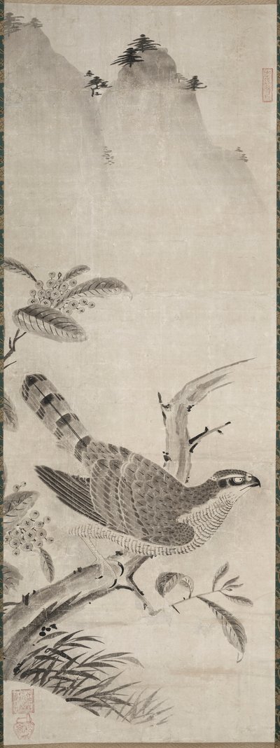 鹰 作者 藤原正佳