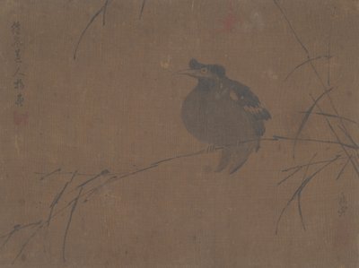 迈纳对里德。 作者 福兰陶人。