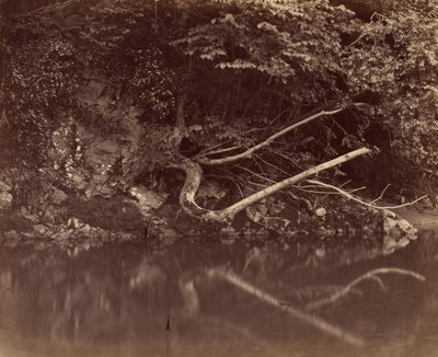 尼思谷的河岸，约 1855 年（照片1855 年（照片） 作者 国标