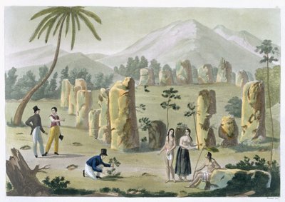 &39;古人之家&39;，天宁岛，来自Jules Ferrario的&39;Le Costume Ancien et Moderne&39;的31号板，出版于1820年代至30年代（另见206893） 作者 布拉马蒂