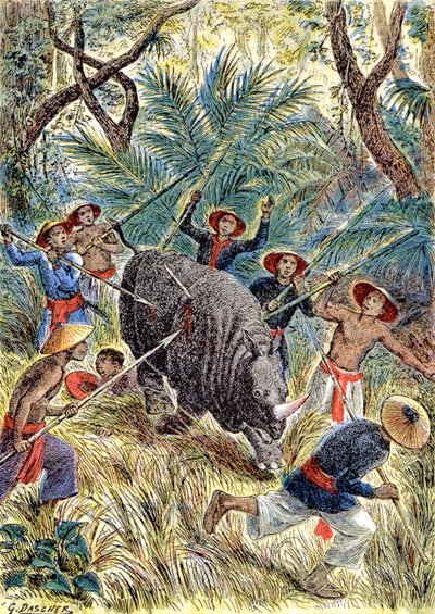 犀牛狩猎，法属印度支那，约 1900 年（插图） 作者 G.达舍尔