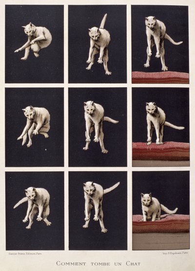 Daniel Bellet（chromolitho）的“科学最后的奇迹”中的猫瀑布 作者 拉斯拉兹