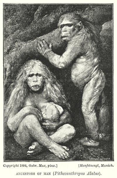 人类的祖先, Pithecanthropus Aalus (litho) 作者 加布里埃尔·马克斯（Gabriel Max）