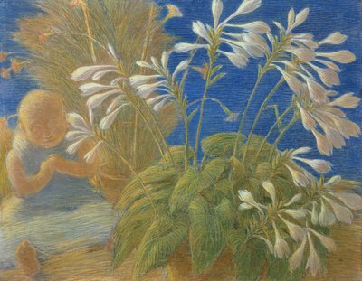 日本百合，1906年 作者 加埃塔诺·普雷维亚蒂（Gaetano Previati）