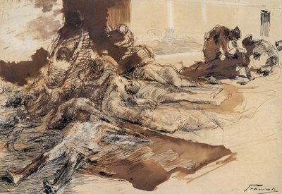 鼠疫的研究 作者 加埃塔诺·普雷维亚蒂（Gaetano Previati）