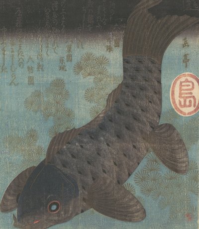 鲤鱼和松树。 作者 学亭