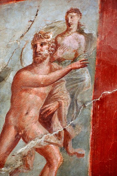 赫库拉努姆奥古斯塔莱斯学院壁画细部（壁画） 作者 Gallo Roman