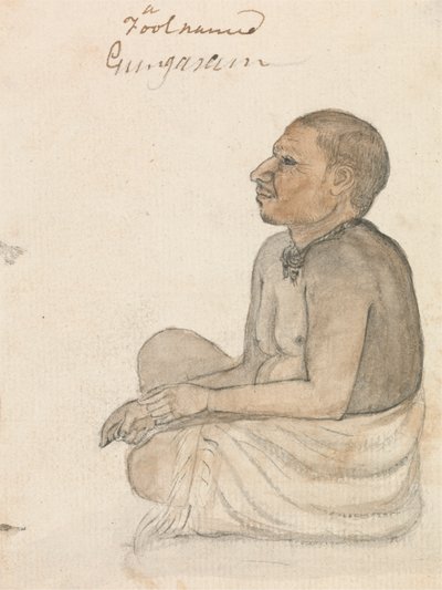 一个叫贡嘎拉姆的傻瓜 作者 Gangaram Chintaman Tambat