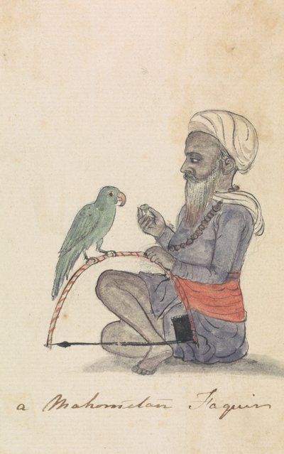 莫哈米丹人和他的鹦鹉 作者 Gangaram Chintaman Tambat