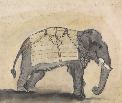 大象 作者 Gangaram Chintaman Tambat