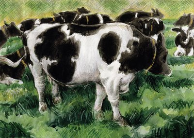 Friesian Cows（wc） 作者 加雷斯·劳埃德·鲍尔