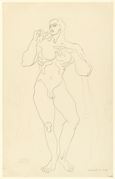 第 12 号男性裸体 作者 加斯顿·拉奇兹（Gaston Lachaise）