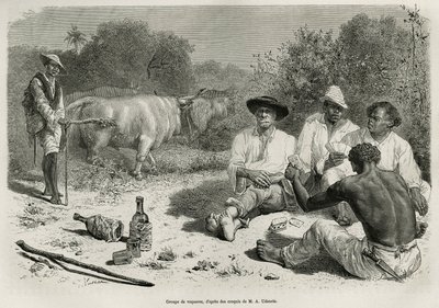 A group of vaqueros playing cards and drinking alcohol, near their herds of oxen, engraving after a drawing by G.Vuillier, to illustrate the story De Cayenne aux Andes, by Jules Crevaux, doctor of the French navy, in 1878-1879, published in the tour du mon 作者 加斯顿·沃利耶（Gaston Vuillier）