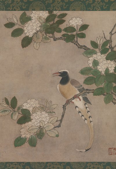 喜鹊在紫荆花枝上，16世纪初。 作者 真嘎