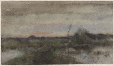 沼泽景观与日落 作者 地理波根贝克