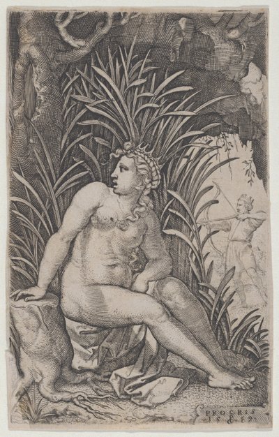 Cephalus和Procris，出自《希腊女英雄》，1539年。 作者 乔治·彭茨