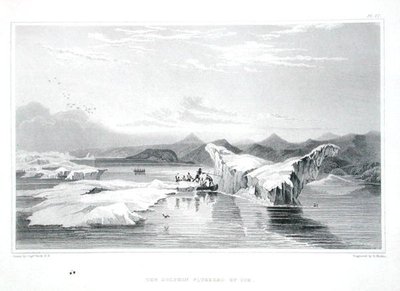 被冰块挤压的海豚，出自约翰-富兰克林爵士(1786-1847)的《1819-22年极地海岸之旅记》，由爱德华-芬登(1791-1857)雕刻，1823-28年出版(彩色雕刻) 作者 乔治（之后）返回