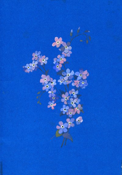 勿忘我，20世纪60年代（彩色卡片上的水粉画） 作者 乔治·亚当森