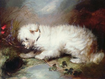 在观察，1867年 作者 George Armfield