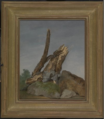 岩石和树枝的研究，c.1795（纸上油） 作者 乔治·奥古斯都·沃利斯