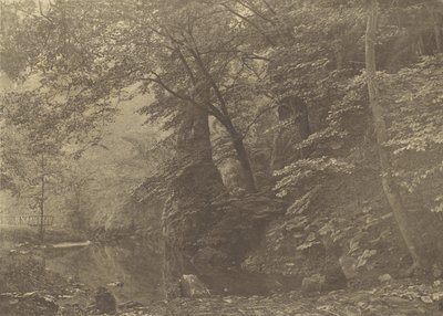 派克池，1880年代，1888年印刷。 作者 乔治·班卡特