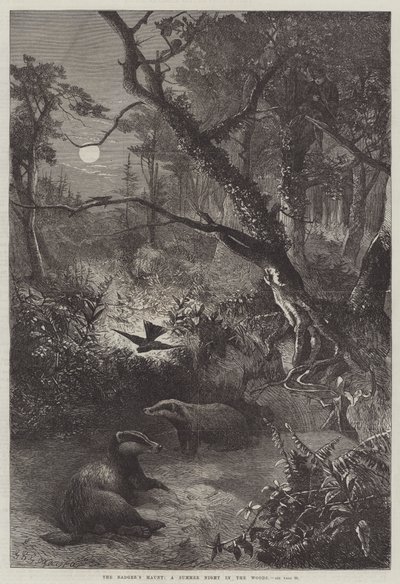 獾的鬼魂，树林里的夏夜 作者 George Bouverie Goddard