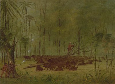 与山雀的斗争--加勒比海，1854-1869。 作者 乔治·卡特琳