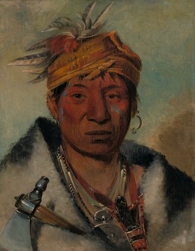 勇士Ah-yaw-né-tak-oar-ron，1831年。 作者 乔治·卡特琳