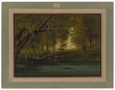  作者 乔治·卡特琳