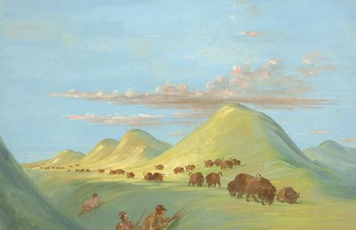 巴蒂斯特、博格德和我在密苏里河上接近水牛，1837-1839。 作者 乔治·卡特琳
