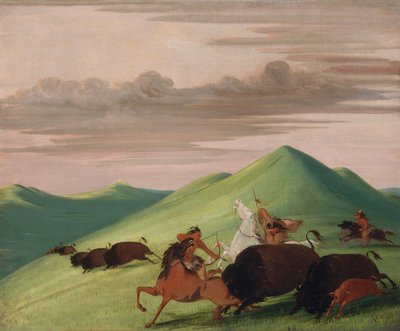 布法罗-切斯，保护奶牛和小牛的公牛，1832-1833年。 作者 乔治·卡特琳