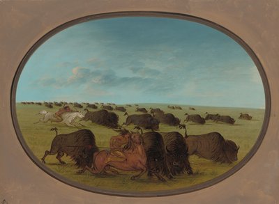 布法罗-切斯，与意外事件，1861-869。 作者 乔治·卡特琳