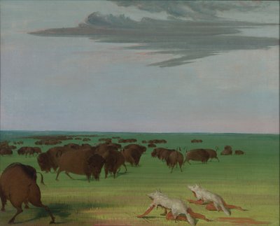 狼皮面具下的水牛狩猎，1832-1833。 作者 乔治·卡特琳
